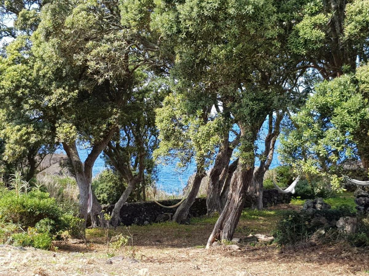 Quinta Da Falesia - Casa Amarela Ponta Delgada  Bagian luar foto